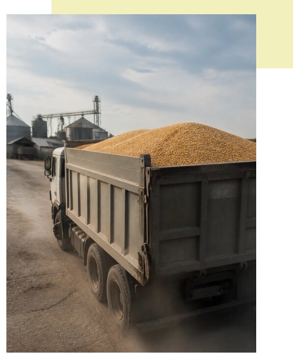 Перевозка сельхозпродукции навалом в Нижнего Тагил по цене от 3123 р. | Агросервис-Нжн